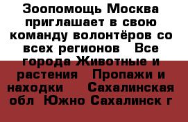 Зоопомощь.Москва приглашает в свою команду волонтёров со всех регионов - Все города Животные и растения » Пропажи и находки   . Сахалинская обл.,Южно-Сахалинск г.